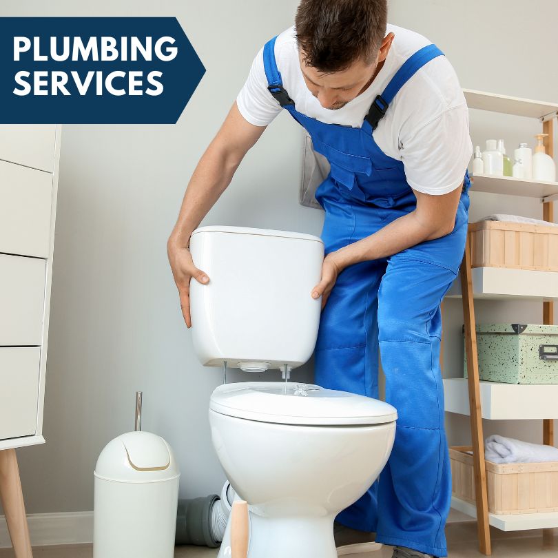 Plumbing Company in Camargo, IL